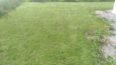 P_20210816_175354_vHDR_On.jpg