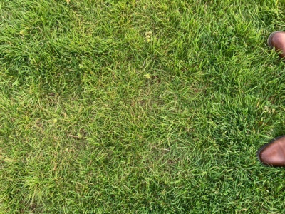 0CA75313-A74A-4A24-A906-2A6A3F6CB0AD.jpeg