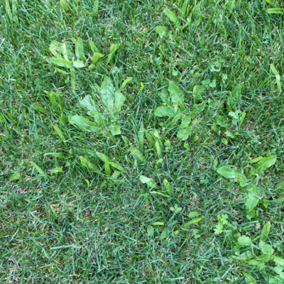 IMG_5032 2.JPG
