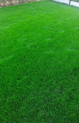 20211008_181422.jpg