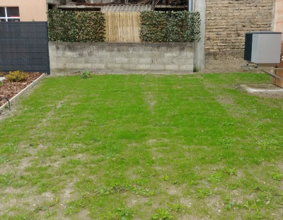 devant.jpg