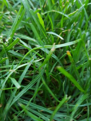 20160704_062914.jpg