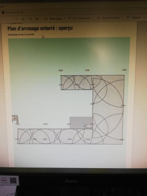 248778107_1207494783106413_7049732637362934360_n.jpg