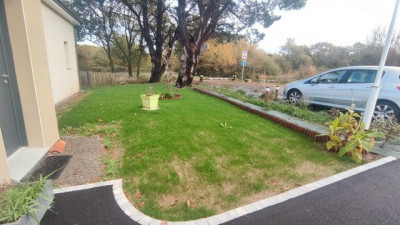 IMG-20211103-082224.jpg