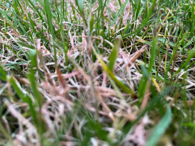 8C765EC5-CE20-408F-9663-7AA1CED78560.jpeg