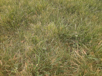 20220326_095342.jpg