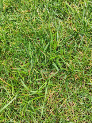 IMG20220318092216.jpg