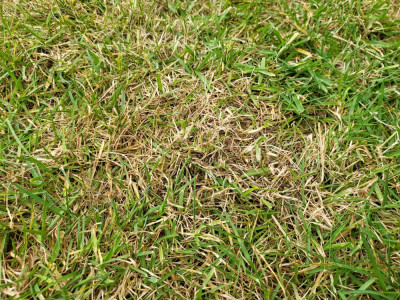 20220413_184911.jpg