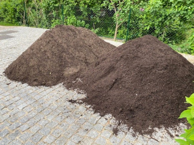 A gauche le sable (70%) amandé (30%), à droite le 100% compost.