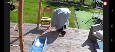 Screenshot_20220510-102639_Arlo.jpg