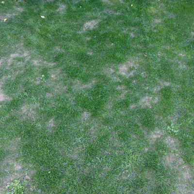 20220512_193233.jpg