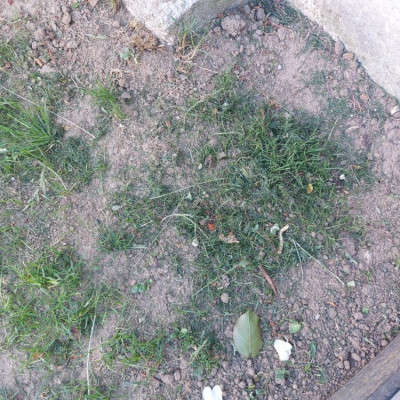 20220512_193219.jpg
