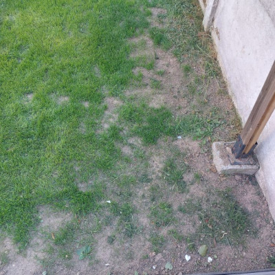 20220512_193213.jpg