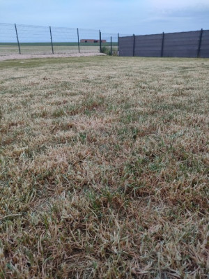 IMG20220515210244.jpg