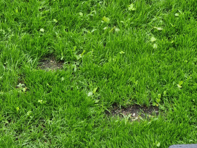 20220520_101244.jpg