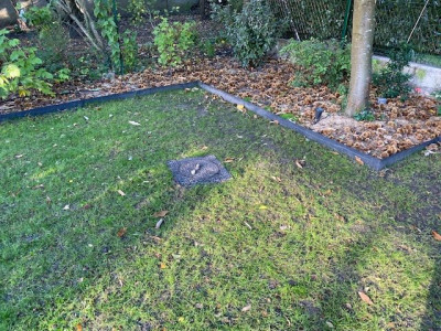 1 mois après la rénovation d'Automne (ici ça n'a pas pris)