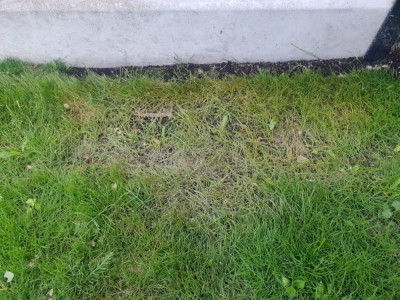 20220528_204749-min.jpg