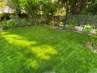 Rénovation à J+30 juste après la tonte (Zone sous le chataigner)