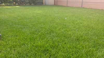 20160712_193029_resized.jpg