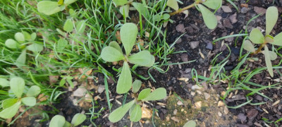 IMG_20220617_183430.jpg