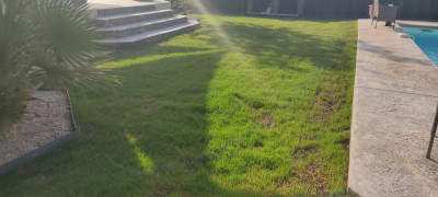 IMG_20220618_083312.jpg
