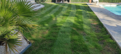 IMG_20220618_182831.jpg