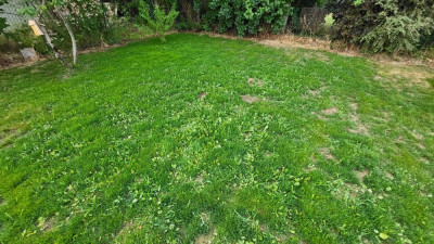 20220622_210205-min.jpg