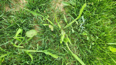 20220622_132542-min.jpg