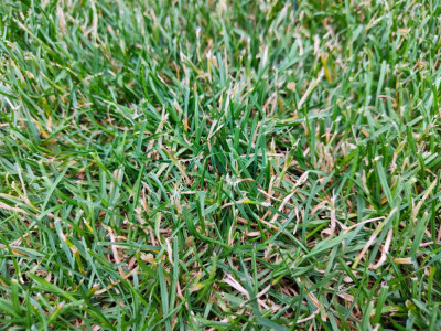 IMG20220701190553.jpg