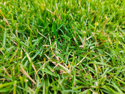 IMG20220701190524.jpg