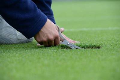 Wimbledon grass.jpg