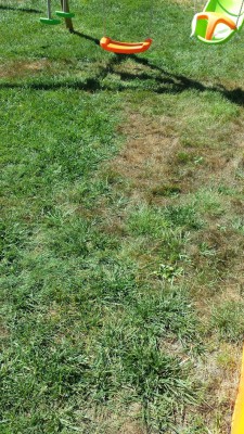 20160715_115700.jpg