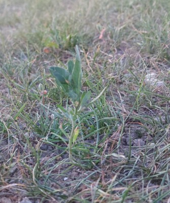 20220708_220734.jpg
