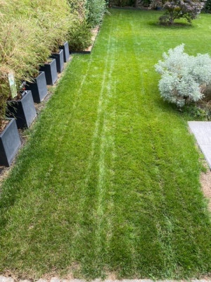 Jardin 2022-08 n°6.jpeg
