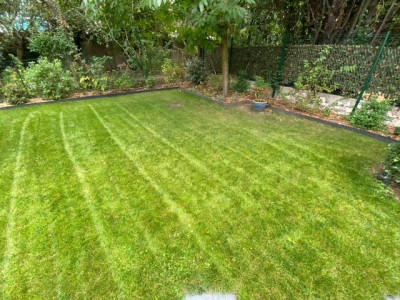Jardin 2022-08 n°7.jpeg