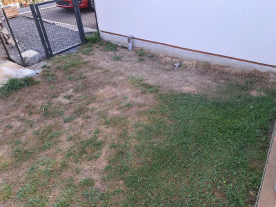 20220827_092319.jpg