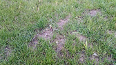 20160619_211154.jpg