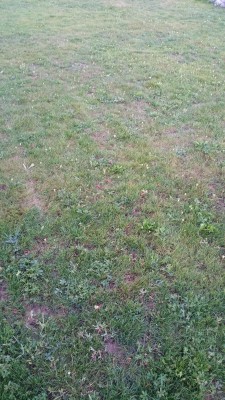 20160627_215108.jpg