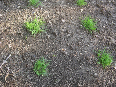 DSCN5958.JPG