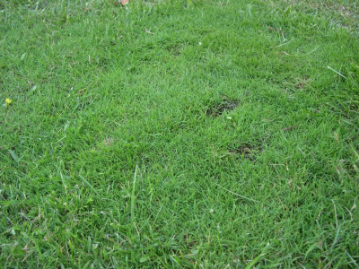 DSCN5959.JPG