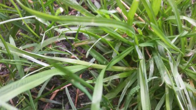 20160721_182345.jpg