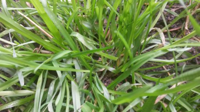 20160721_182352.jpg