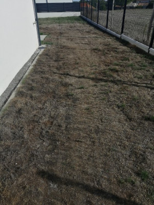IMG_20220918_171134.jpg