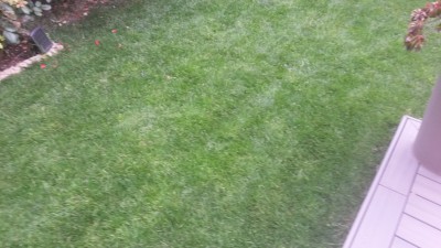 20160721_203401.jpg