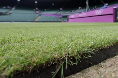 Le gazon de Wimbledon juillet 2016 en phase de réparation