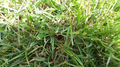 20160723_120439.jpg