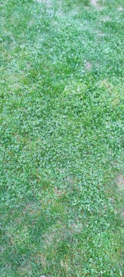 IMG_20220924_181107.jpg