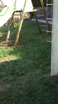 20160723_173517.jpg
