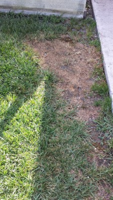 20160723_173552.jpg