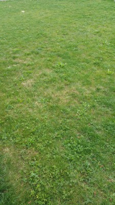 20160724_125845.jpg